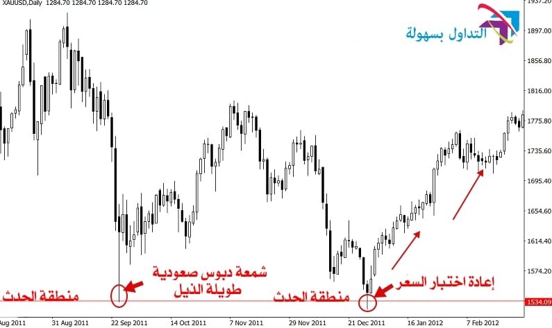 دبابيس ذيل طويل قضبان ذات ذيل طويل ومنطقة الحديث