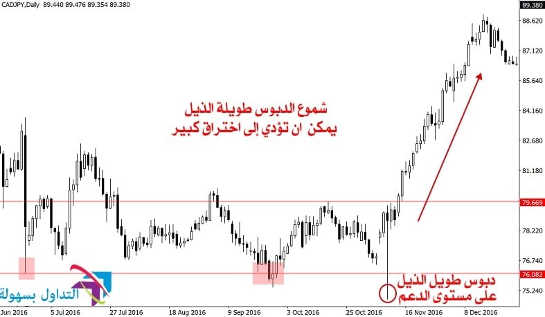 دبوس طويل الذيل قضيب طويل الذيل يعمل اختراقات