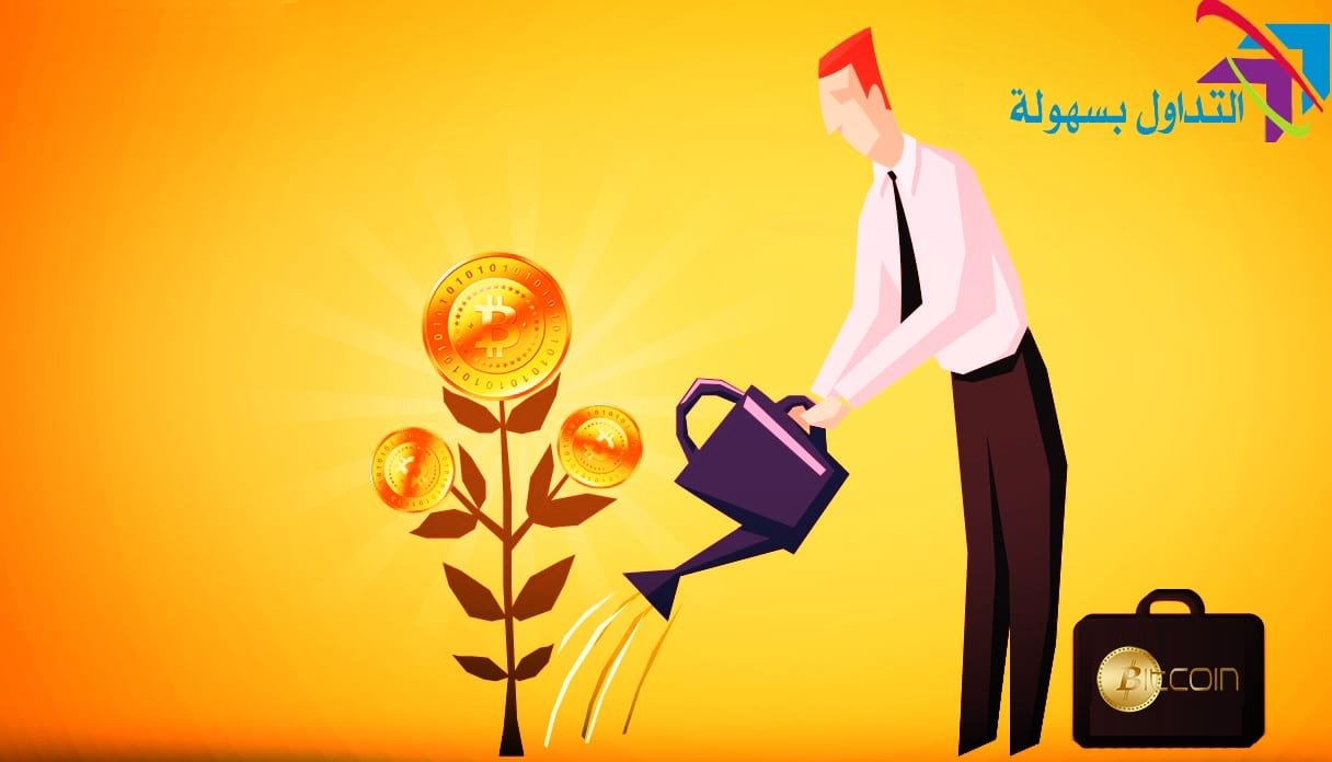 عملة البتكوين كاستثمار