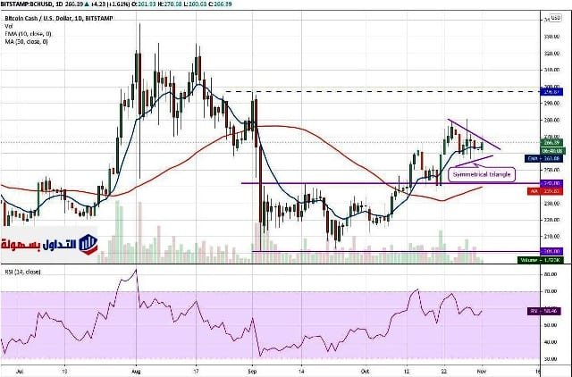 أخبار سوق العملات الرقمية الرسم البياني اليومي BCH / USD