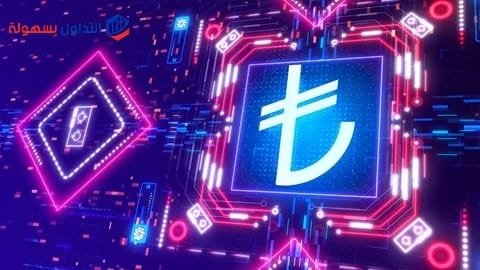 الدولار مقابل الليرة التركية والبحث عن حل