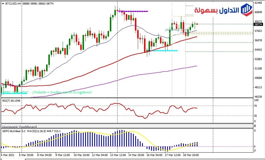 اخبار العملات الرقمية: الرسم البياني للبيتكوين