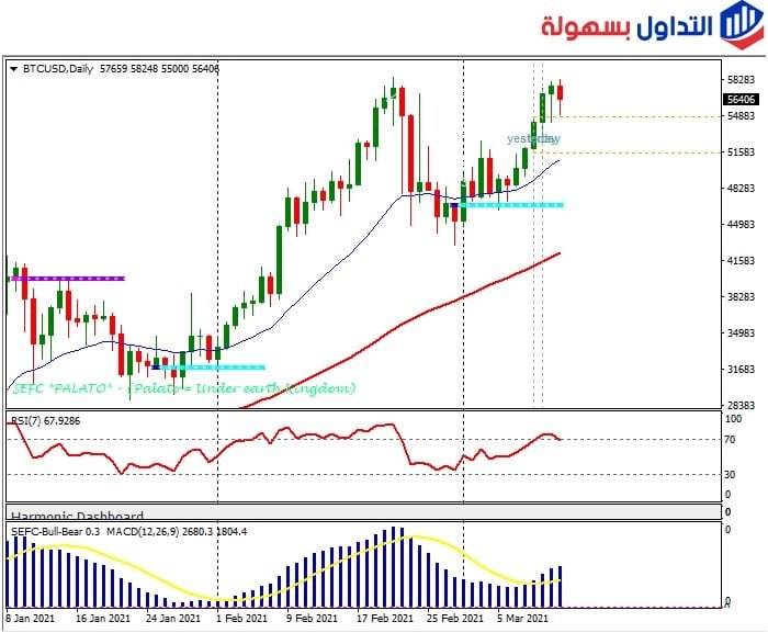 الرسم البياني للبيتكوين فريم يومي