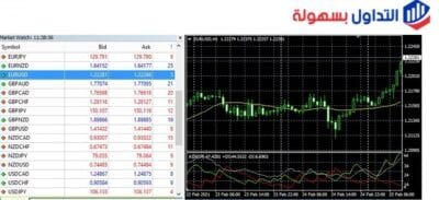 تحديد عدد النقاط في الفوركس أو (PIP)