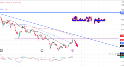 بعد الارتفاع بـ4% ما هي توقعات سهم الأسماك في جلسة الثلاثاء؟