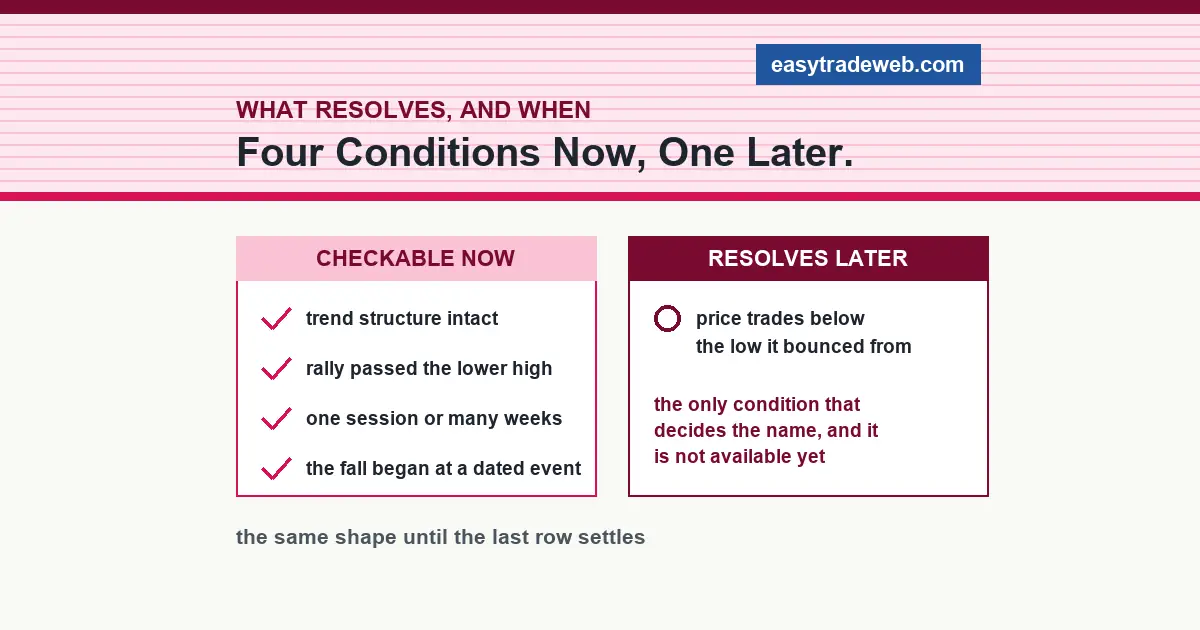 Dead Cat Bounce: What You Can Test While It Is Happening Dead cat bounce conditions split into four checkable while the rally runs and one that resolves only later